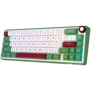 ROYAL KLUDGE R65 Wired Gaming Keyboard with RGB Backlight, Green