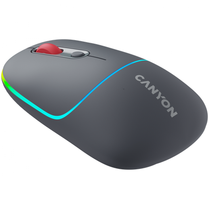 Kabellose 2-in-1-RGB-Maus Canyon MW 22 grau