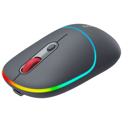 Kabellose 2-in-1-RGB-Maus Canyon MW 22 grau