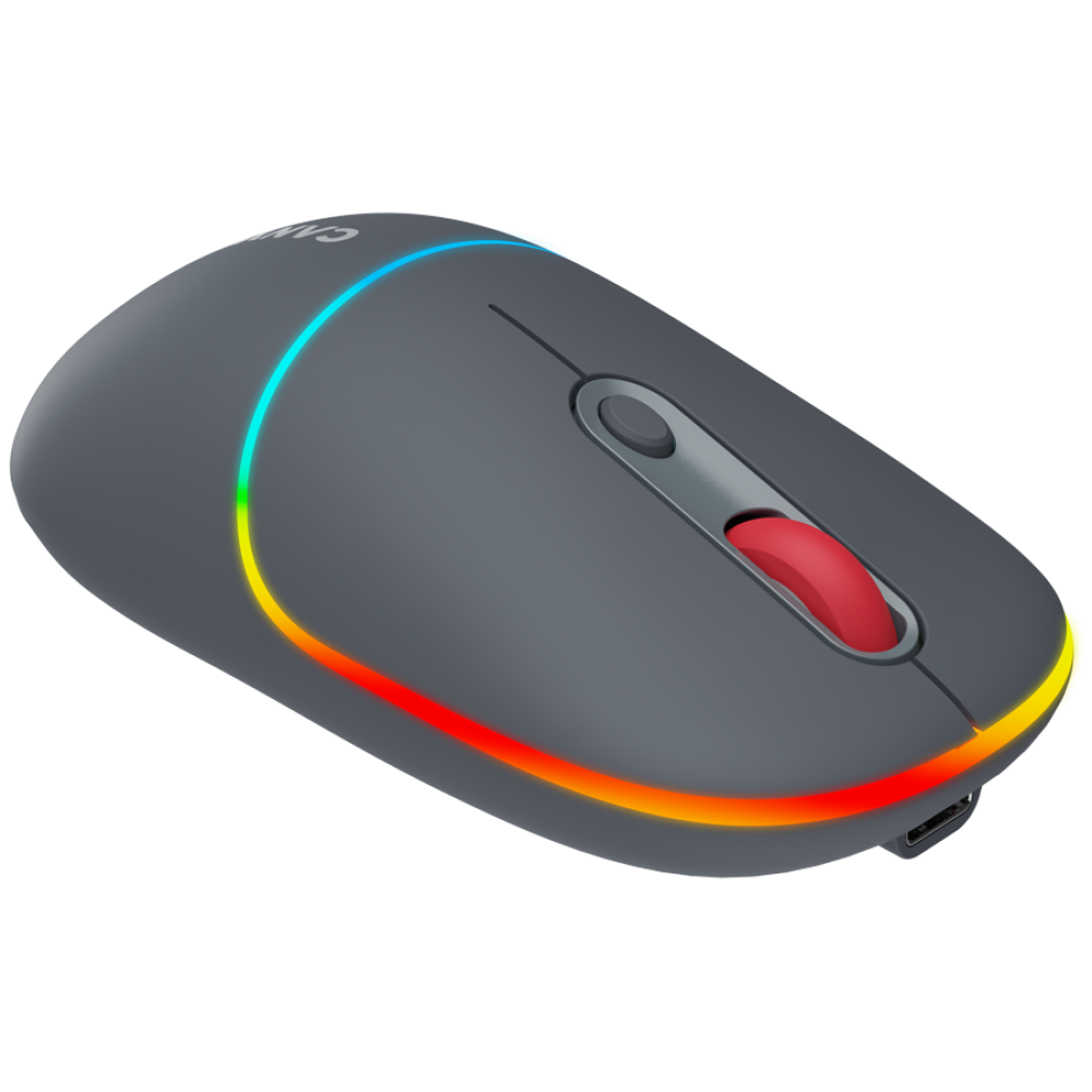 Kabellose 2-in-1-RGB-Maus Canyon MW 22 grau