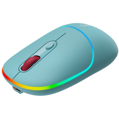 Kabellose 2-in-1-RGB-Maus Canyon MW 22 blau