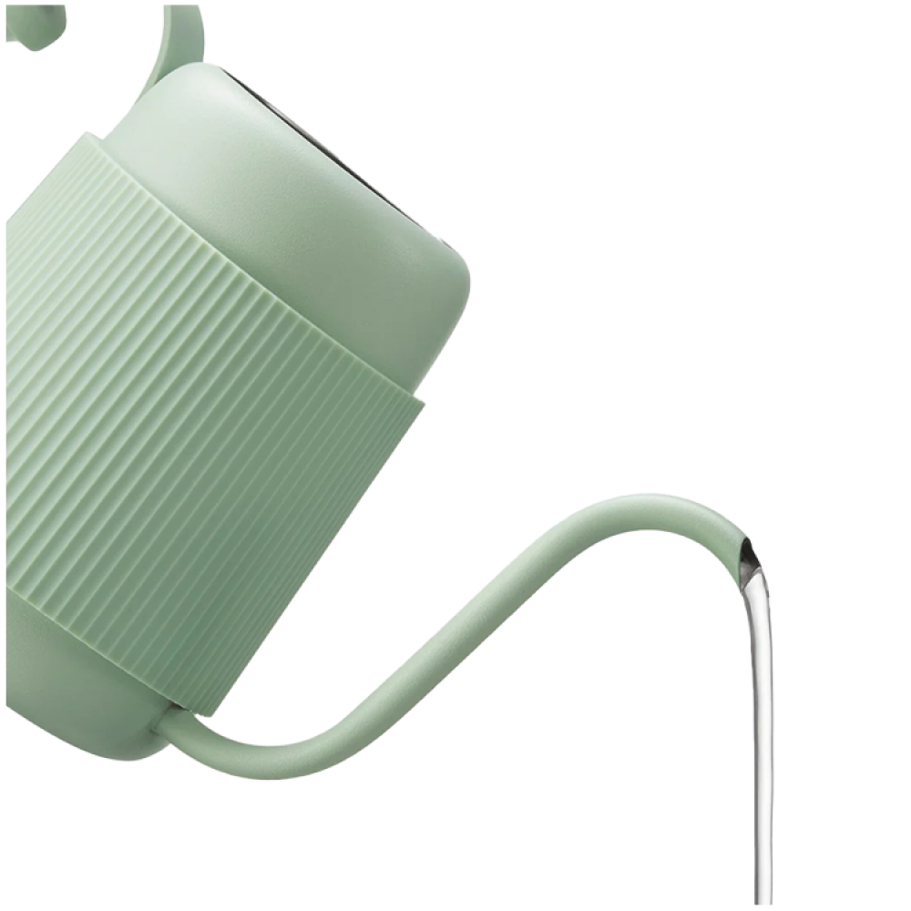 Buydeem Gooseneck Kettle CD2006 350 ml Pastel Green