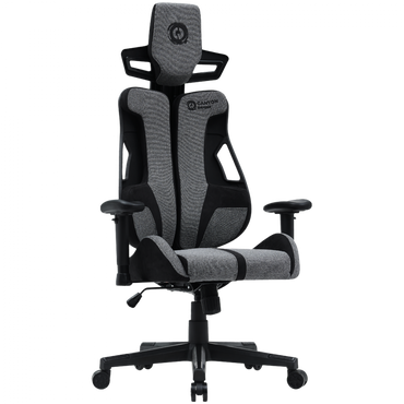 Ergonomischer Gaming-Stuhl mit Rückenlehne Canyon ABCH01 grau