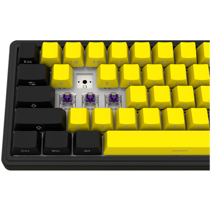 Lorgar Pro 65 % mechanische kabellose Gaming-Tastatur schwarz gelb