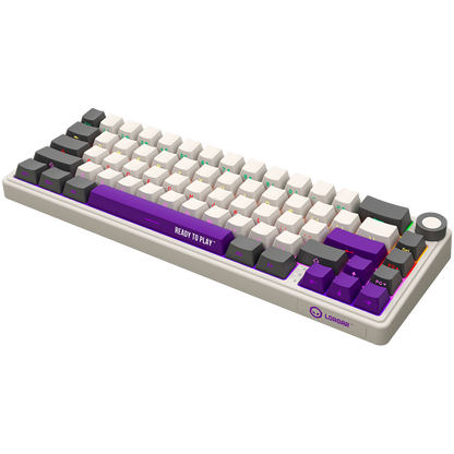 Lorgar Pro 65 % mechanische kabellose Tastatur beige