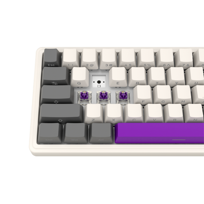 Lorgar Pro 65 % mechanische kabellose Tastatur beige