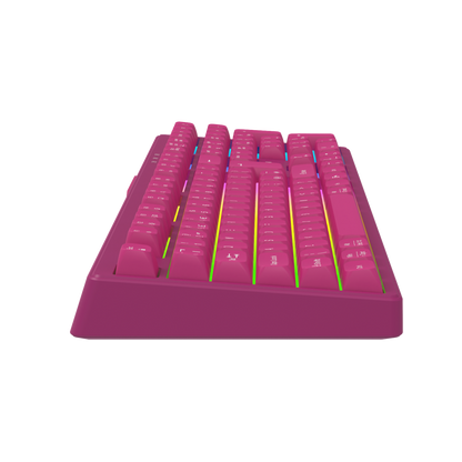 Canyon Fortnax Gaming-Tastatur 2.4G + Bluetooth RGB 105 Tasten rosa