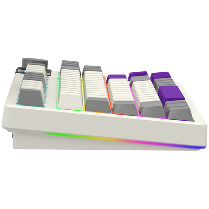 Lorgar Pro mechanische TKL Gaming-Tastatur kabellos beige