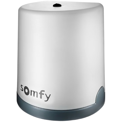 Schiebetorantrieb SOMFY Freevia 400