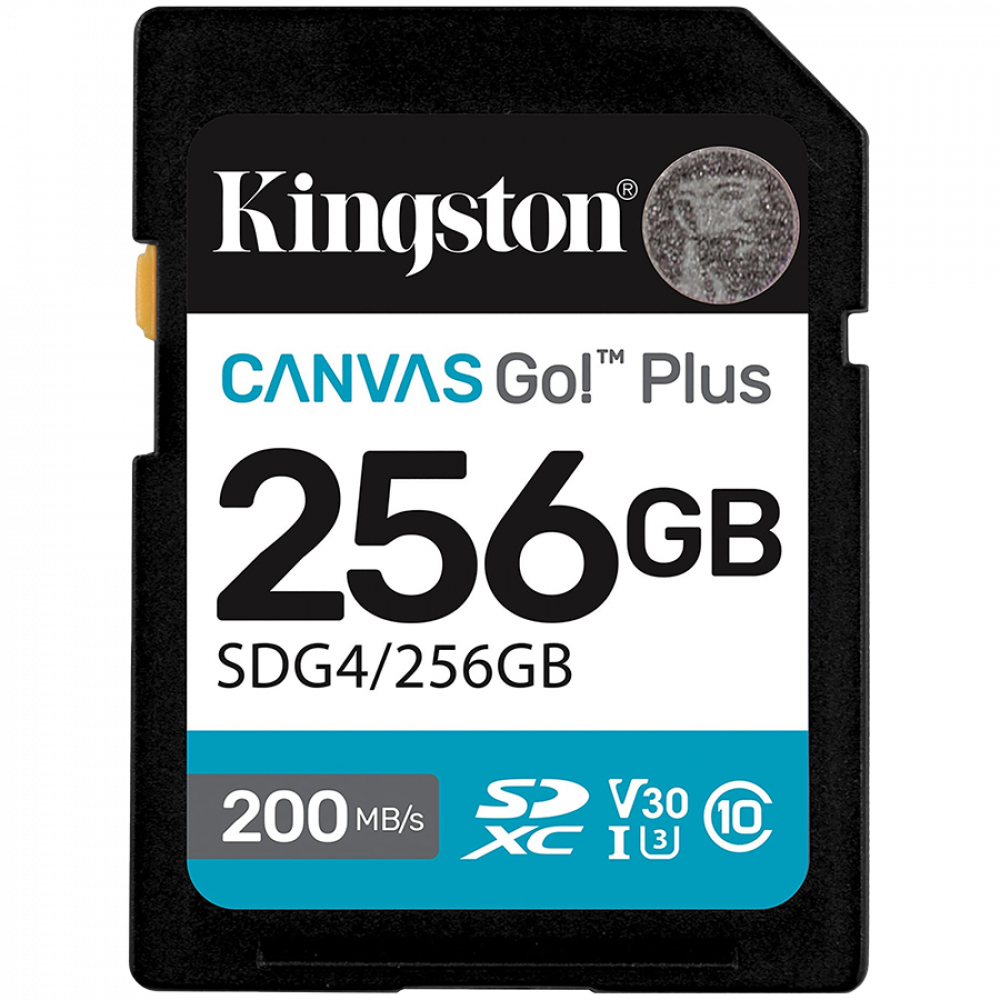 256 GB KINGSTON Class 10 black SDXC memory card