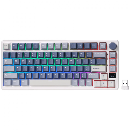 Royal Kludge M75 Silver Switch Mechanical Keyboard Blue