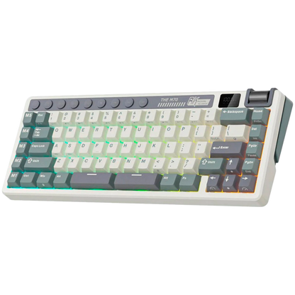Royal Kludge M70 Mechanical Keyboard Beige Purple Switch