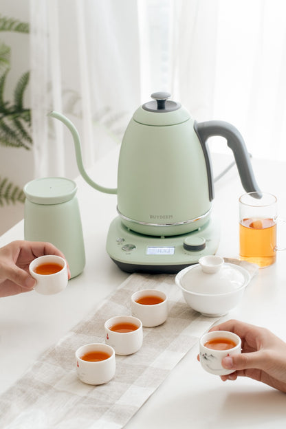Wasserkocher gooseneck Buydeem K821 mit Temperaturregelung Pastellgrün