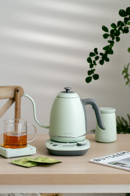 Wasserkocher gooseneck Buydeem K821 mit Temperaturregelung Pastellgrün