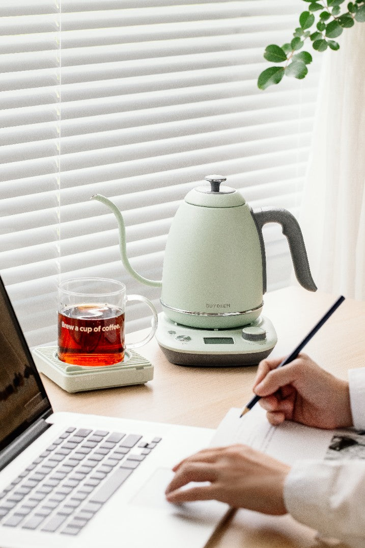 Wasserkocher gooseneck Buydeem K821 mit Temperaturregelung Pastellgrün