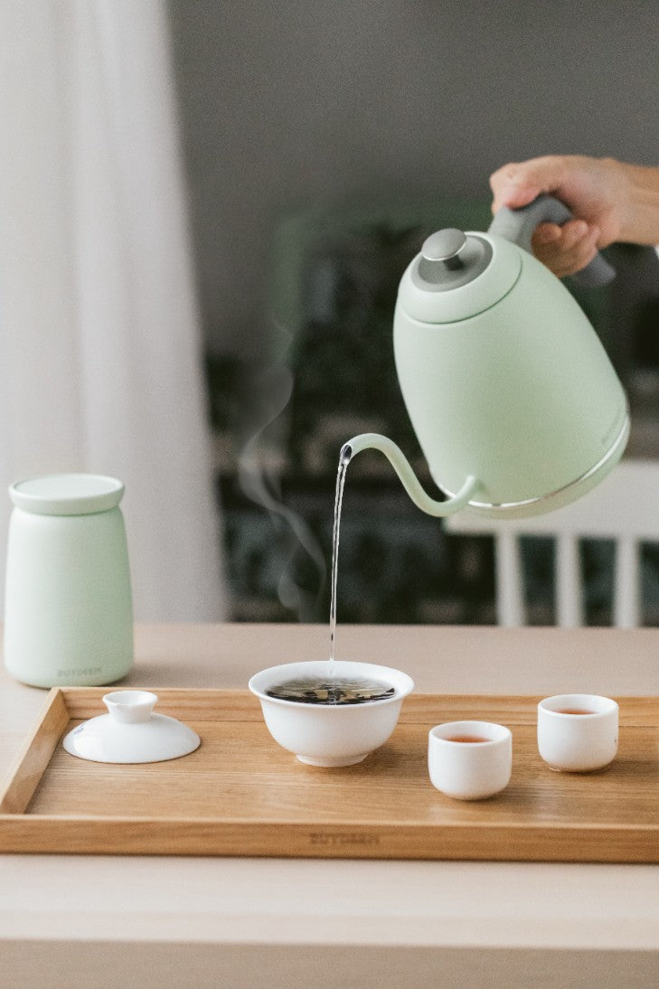 Wasserkocher gooseneck Buydeem K821 mit Temperaturregelung Pastellgrün